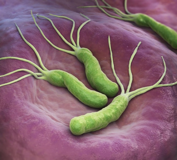 Ελικοβακτηρίδιο του πυλωρού